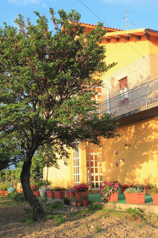 B&B Villa Angela San Salvo Dış mekan fotoğraf